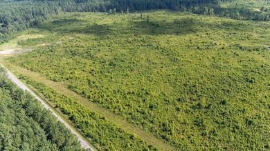 11ac Ouzts Rd, Edgefield, SC 29824 - photo 4