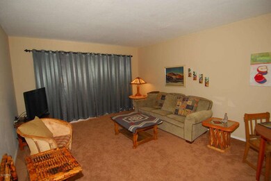 LR2Patio Door2
