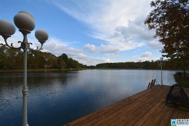 Private dock for swimming, entertaining or relaxin
