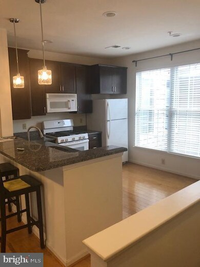 2006 Peggy Stewart Way unit 206, Annapolis, MD 21401 - photo 5