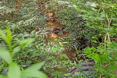 00 Homeland (5 04 Acres) Dr, Mountain  Rest, SC 29664 - photo 6