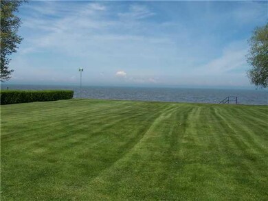 Yard/Garden