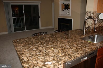 11301 Westbrook Mill Ln unit 203, Fairfax, VA 22030 - photo 6