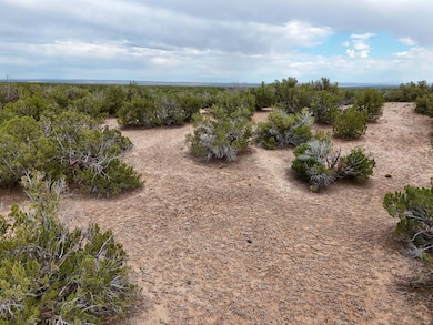 Tbd N7112, Saint Johns, AZ 85936 - photo 6