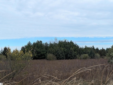 N/A Manor Rd, Au Gres, MI 48703 - photo 4