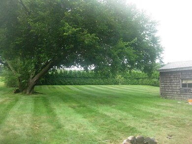 Yard/Garden. Huge back yard