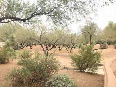 Greenbelt area behind Home