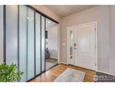4050 Wild Elm Way, Fort Collins, CO 80528 - photo 5