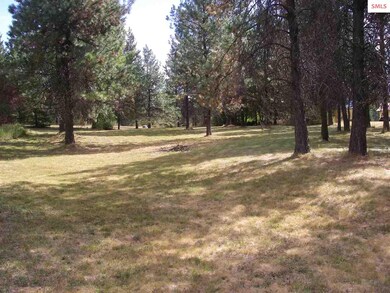 272 Hidden Spring Rd, Sandpoint, ID 83864 - photo 4