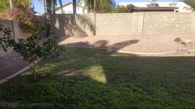 BACKYARD MEADOW