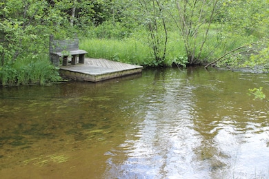 460 Ft. on the Ausable River