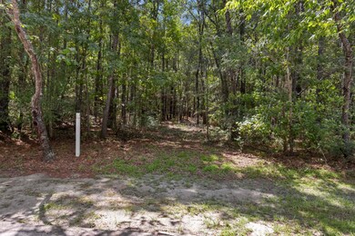 0 Pawlett Blake Ln unit 25023063, Wadmalaw Island, SC 29487 - photo 6