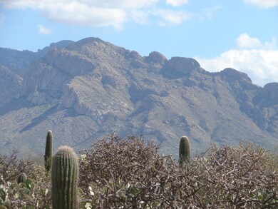 Push Ridge / Top of Saguaros