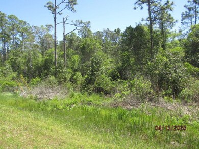 Lot 6 Hwy 67, Carrabelle, FL 32322 - photo 4
