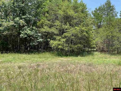 0 Lago Ln, Elizabeth, AR 72531 - photo 2