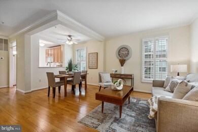 715A Massey Ln unit A, Alexandria, VA 22314 - photo 4