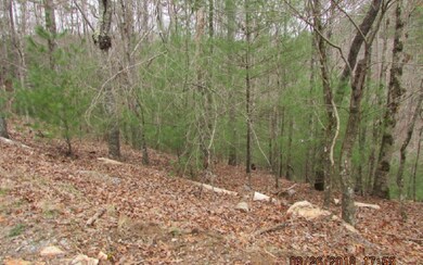 Additional View