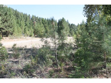 0 Oak St unit 24356227, Sumpter, OR 97877 - photo 7