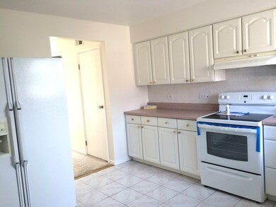 9461 Bay Colony Dr unit 2S, Des Plaines, IL 60016 - photo 4