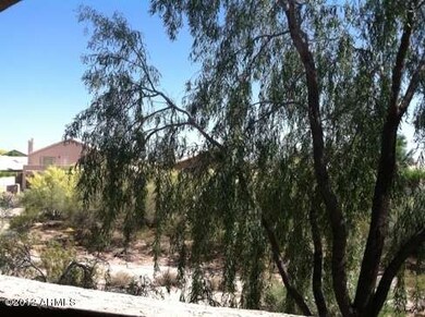 Mountain Views