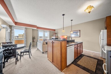 100 4th Ave N unit 208, South Saint Paul, MN 55075 - photo 7