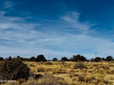US HWY 180 4 lots Photo 4