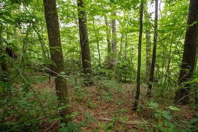 Lot 28 Manor House Dr, Laurel Fork, VA 24352 - photo 6