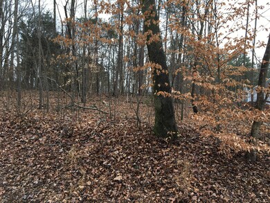 205 Dudala Way, Loudon, TN 37774 - photo 3