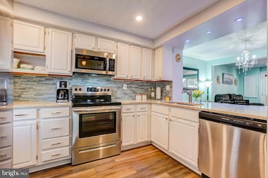 19206 Misty Meadow Terrace, Germantown, MD 20874 - photo 5