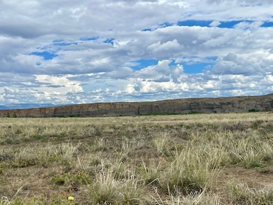 0 Tbd Highway 20 S unit LotWP004, Greybull, WY 82426 - photo 6