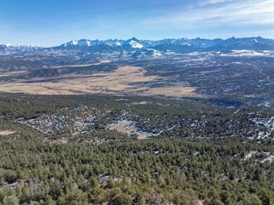 DJI_0833