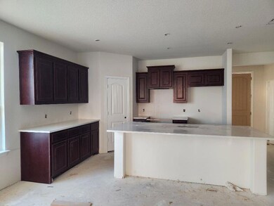 816 Taliaferro Trail, Springtown, TX 76082 - photo 3