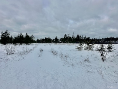 TBD Airfield Rd, Gwinn, MI 49841 - photo 2