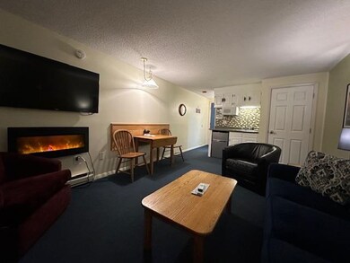 2955 White Mountain Hwy unit 225 (E47), North Conway, NH 03860 - photo 3