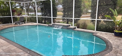 4217 Fishermans Lake Dr, Lutz, FL 33558 - photo 7