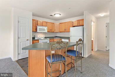 11421 Manklin Creek Rd unit 8, Berlin, MD 21811 - photo 6