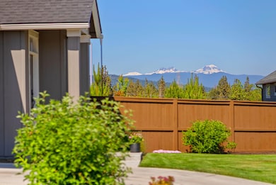 Views from the Frontyard