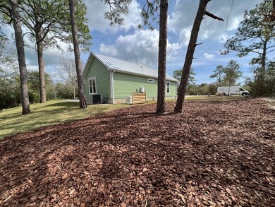 388 Royal Tern Way, Carrabelle, FL 32322 - photo 4