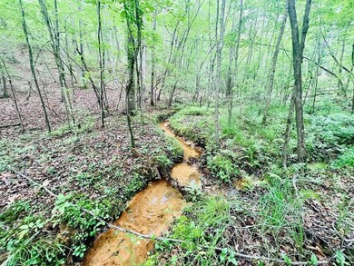 20230517233256408091000000-o