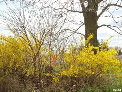 2476 170th St, Galesburg, IL 61401 - photo 5