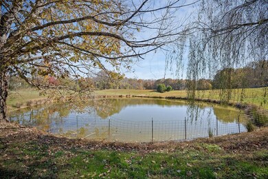 3297 Three Island Rd, Walling, TN 38587 - photo 7