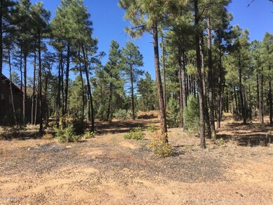 120 W Owens, Show Low, AZ 85901 - photo 3