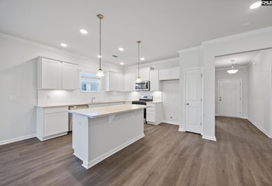 129 Monroe Preserve Dr, Chapin, SC 29036 - photo 7