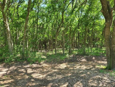 24044 Stonewood Dr, Whitney, TX 76692 - photo 7