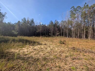 0 County Rd 51 unit A, Greensboro, AL 36033 - photo 7