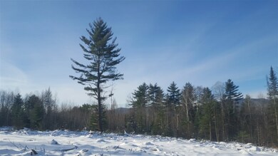 7 Kimball Hill Rd, Dalton, NH 03598 - photo 5