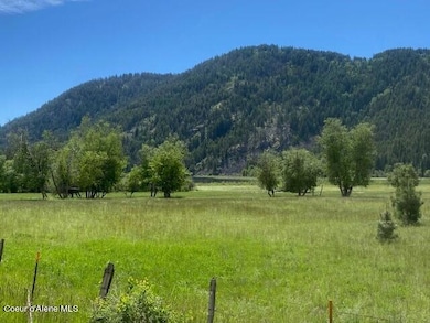 NNA (7800) 20 Ac Blue Lake Rd, Priest River, ID 83856 - photo 2