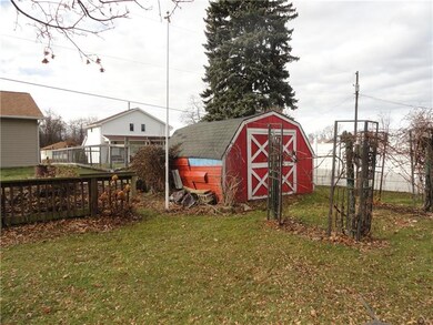 Shed and garden area.