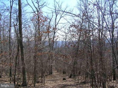 0 Grimaldi Way unit 1000568917, Gerrardstown, WV 25420 - photo 4