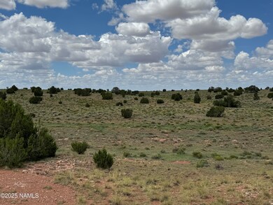 2794 E Redwood Ln unit 101, Williams, AZ 86046 - photo 5